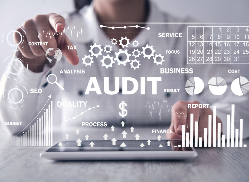 Free SEO Website Audit