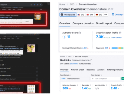 1st Page Rankings for Themoonstore.in
