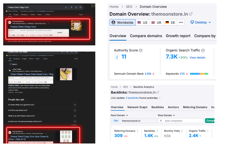 1st Page Rankings for Themoonstore.in